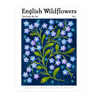 English Wildflowers | Forget-Me-Not (Print Only)