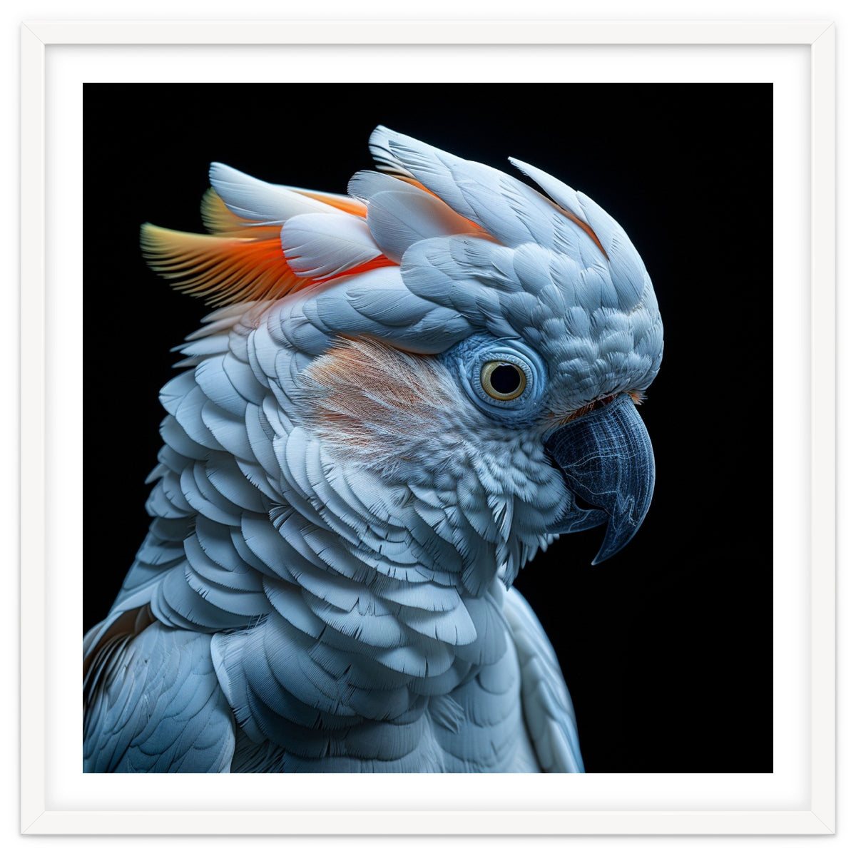 Close Up Of A Cockatoo Parrot Head