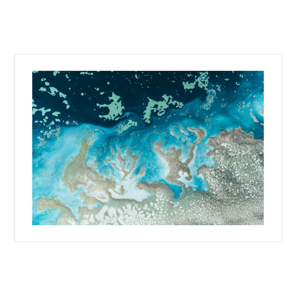 The Oasis (Print Only)