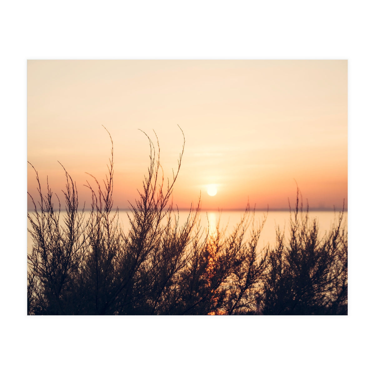 Orange Heatwave 2 (Print Only)