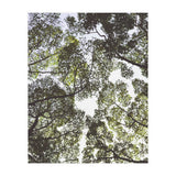 Mother Nature (Print Only) thumbnail