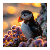 Puffin Bird Amidst Purple Flowers Golden Hour (Print Only) thumbnail