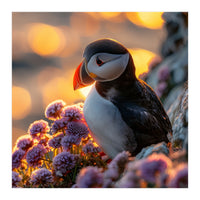 Puffin Bird Amidst Purple Flowers Golden Hour (Print Only)
