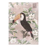 Exotic Bird Toucan (Print Only) thumbnail