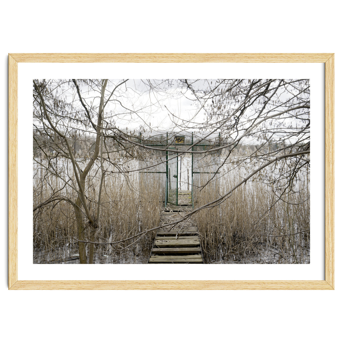 The gate to the lake