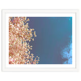 Leaves And Sky thumbnail
