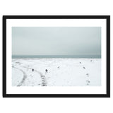 Seagulls in the winter snow beach thumbnail