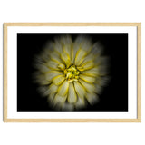 Backyard Flowers No 86 Color Flow Version thumbnail