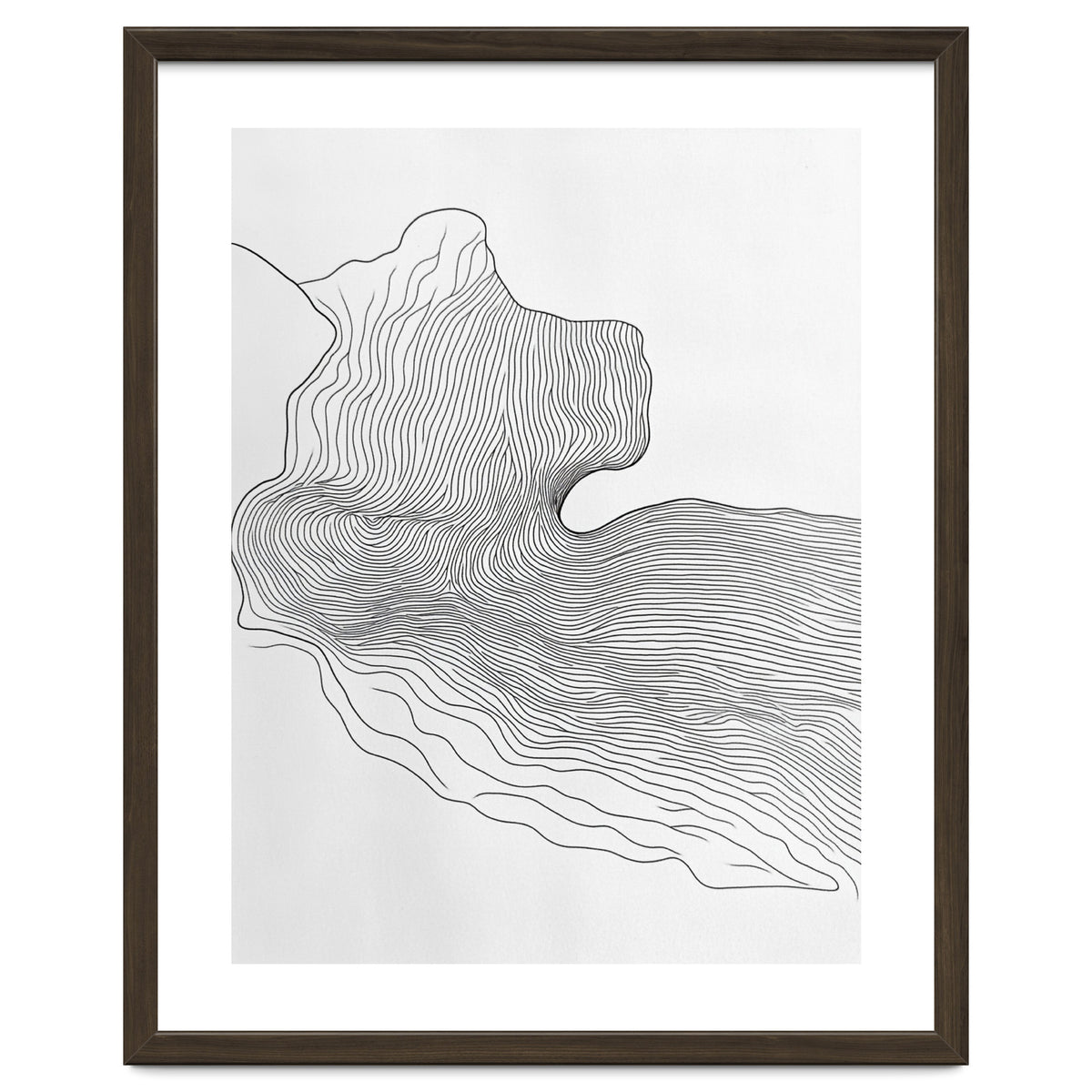 Abstract Black And White Organic Flowing Lines Pattern