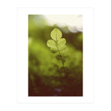 Out of the green (Print Only) thumbnail
