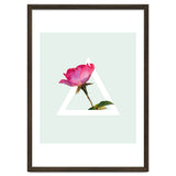 Rose thumbnail