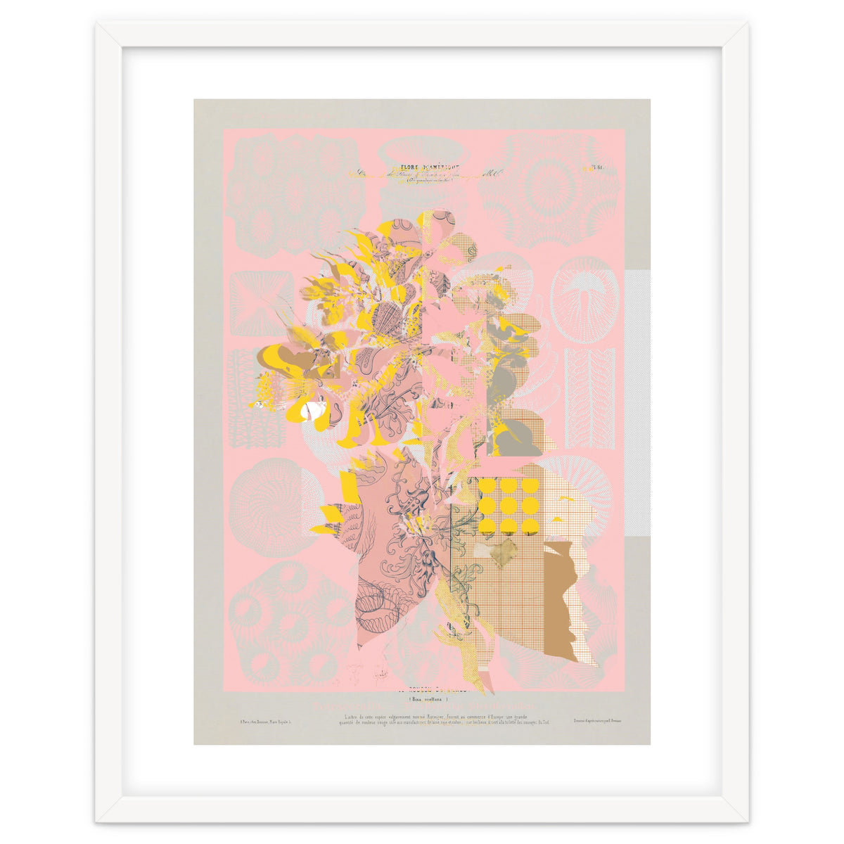 The First Plant · Tuesday Mix Mit Resten