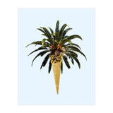 Coconut Ice Cream (Print Only) thumbnail