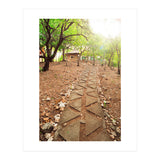 WISE (Print Only) thumbnail