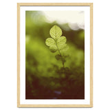 Out of the green thumbnail