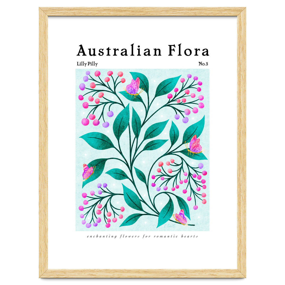 Australian Flora: Lilly Pilly
