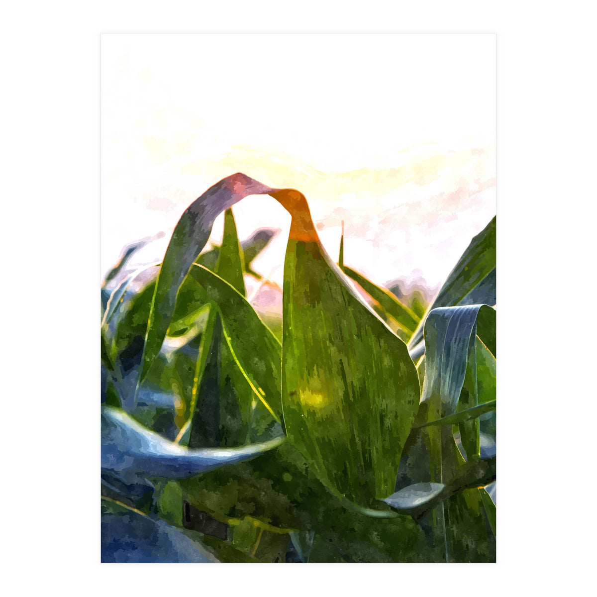 Hope With Abstraction (Print Only)