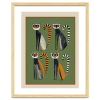 Striped Lemurs