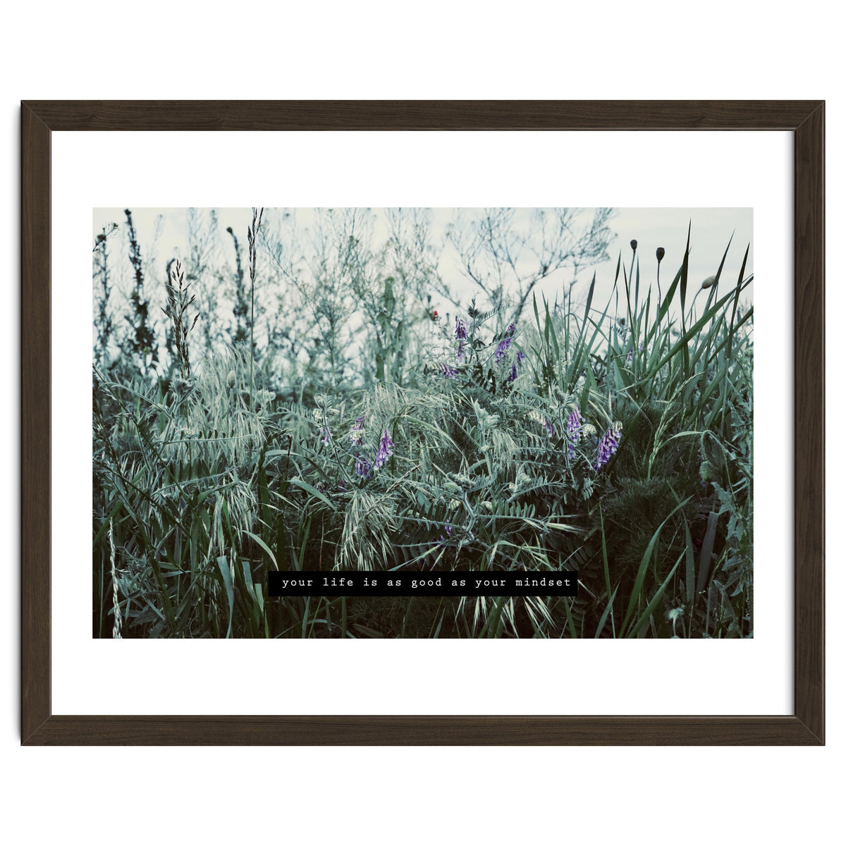 Photography - Summer Garden