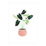 Home Plant | Ceramic Botanical Planter Illustration | Minimal Bohemian Watercolor Painting Polka Dot (Print Only) thumbnail