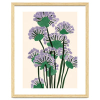 Modern Lavender Garden