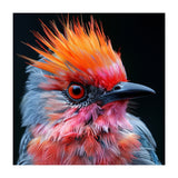 Close Up Of Exotic Bird With Vibrant Plumage (Print Only) thumbnail