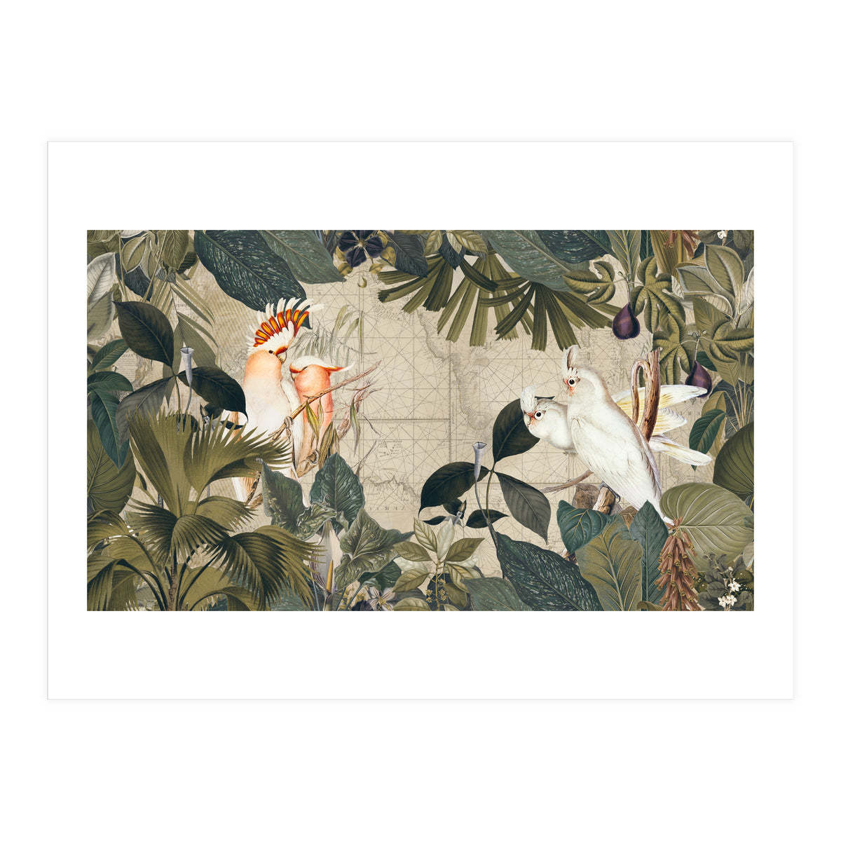 Cockatoo Island (Print Only)