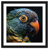 Close Up Of A Colorful Parrot's Face thumbnail