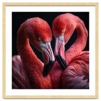 Two Flamingos Together
