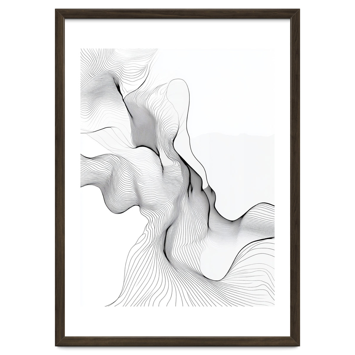 Abstract Black And White Flowing Lines