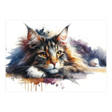 Maine Coon Resting Portrait (Print Only) thumbnail