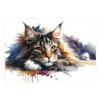 Maine Coon Resting Portrait (Print Only)