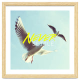 Never Settle thumbnail
