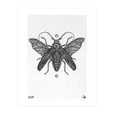 Riesen Longhorn Käfer (Print Only) thumbnail