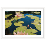 Lotus Pond | Landscape thumbnail
