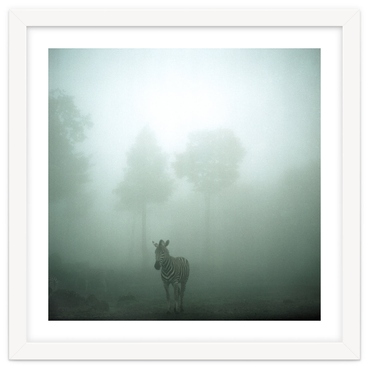 Silence of breath - 01