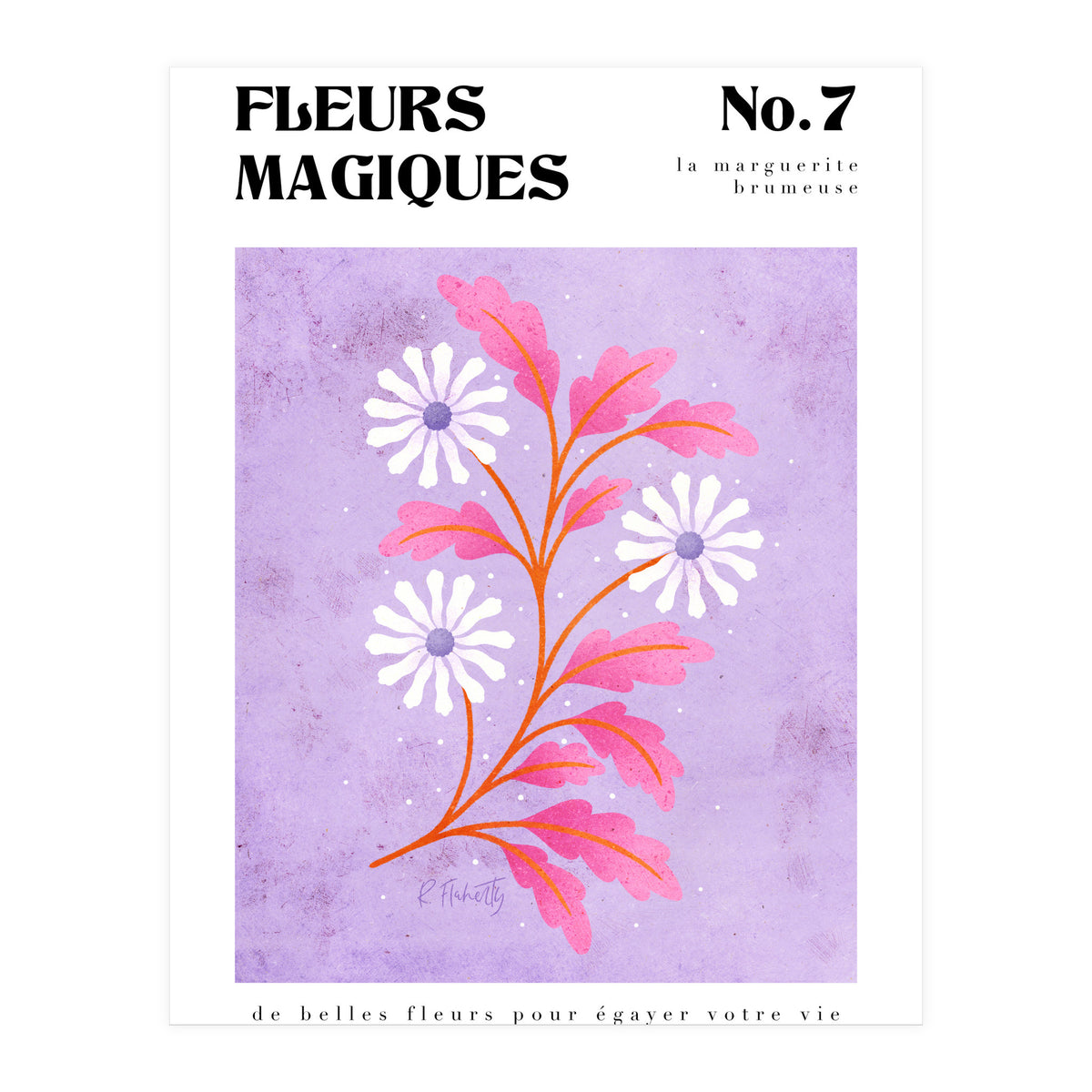 Magical Flowers No.7 Hazy Daisy (Print Only)