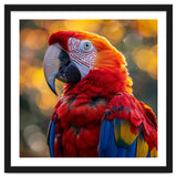 Scarlet Macaw Parrot Close Up Portrait thumbnail