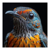 Close Up Of A Colorful Exotic Bird Head (Print Only) thumbnail