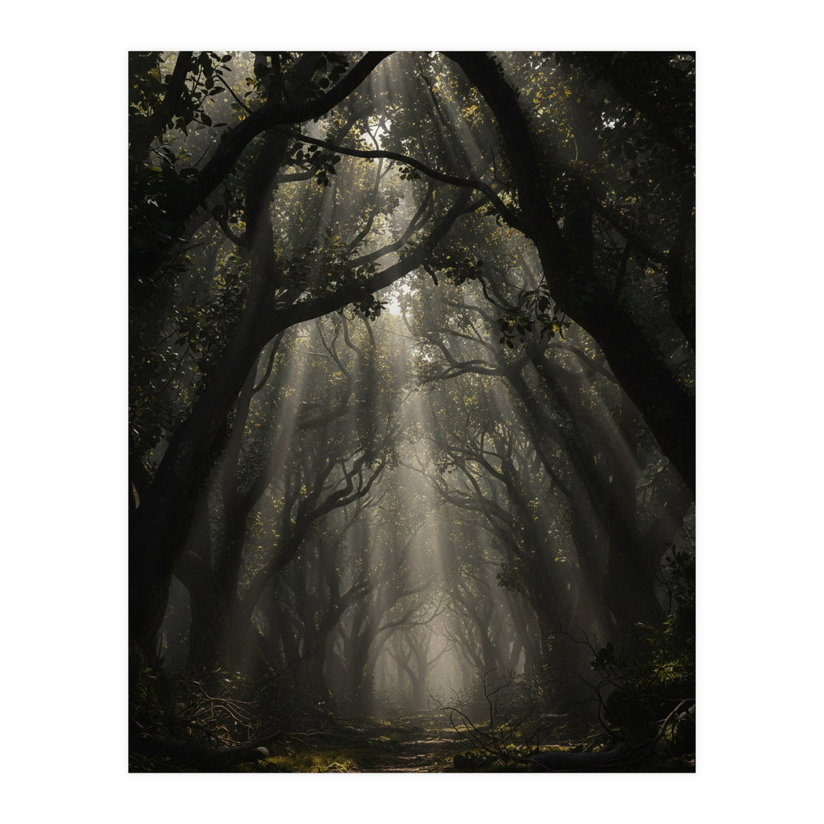 Enchanted Canopy: Mystical Forest Path (Print Only)