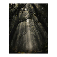 Enchanted Canopy: Mystical Forest Path (Print Only)