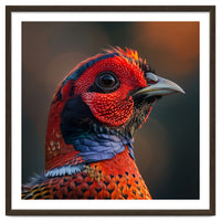 Close Up Pheasant Bird