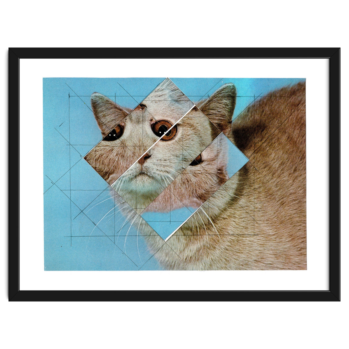 The Depressive Cat Am Abend Bekommt Den Blues