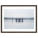 Birds rest in the Lake thumbnail