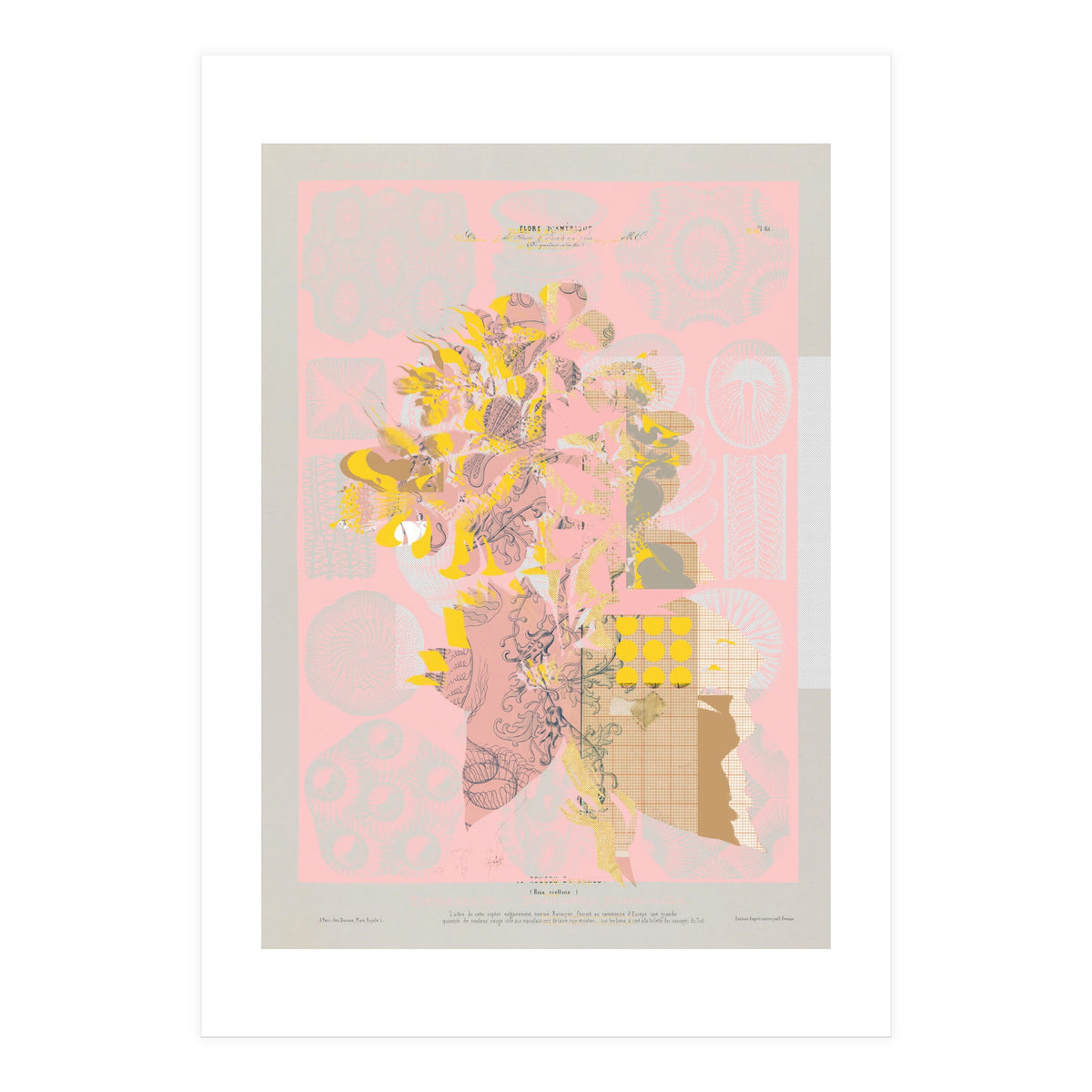 The First Plant · Tuesday Mix Mit Resten (Print Only)