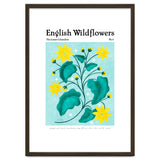 English Wildflowers | Lesser Celandine thumbnail