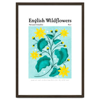 English Wildflowers | Lesser Celandine