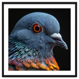 Close Up Of A Pigeon Bird thumbnail
