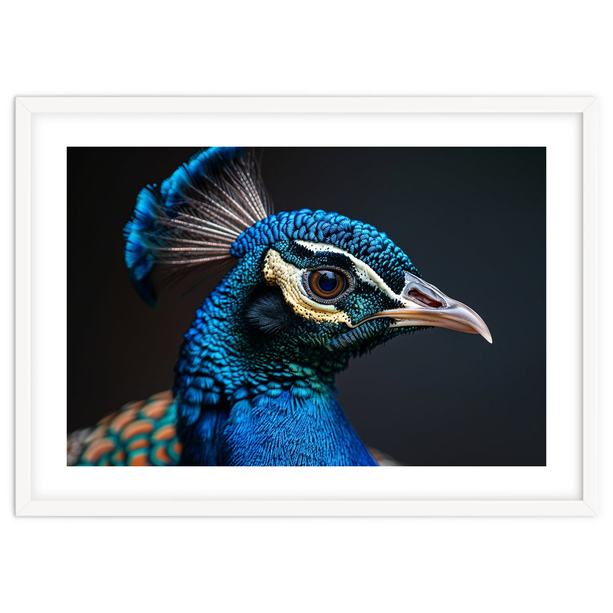 Close Up Peacock Head Blue Green Feather