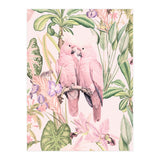 Pink Cockatoos in Love (Print Only) thumbnail
